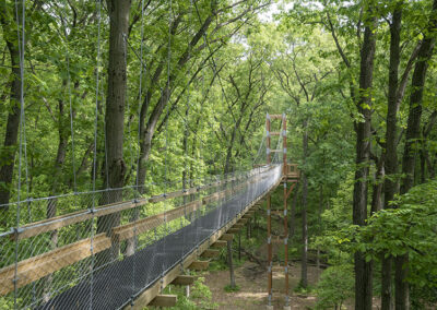 Hidden Lake Gardens Canopy Walk