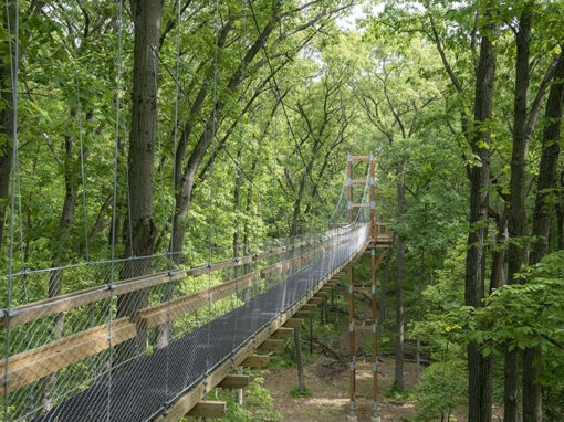Hidden Lake Gardens Canopy Walk