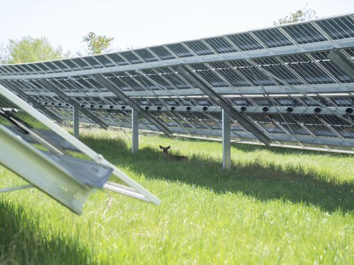 Adrian Dominican Sisters Solar Array